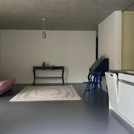 Charming Swiss Apartment Apartment *