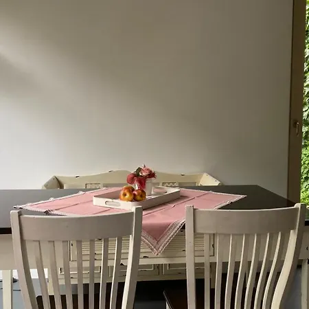 Charming Swiss Apartment