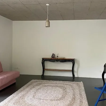 Charming Swiss Apartment Apartment *