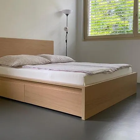 Charming Swiss Apartment Apartment *